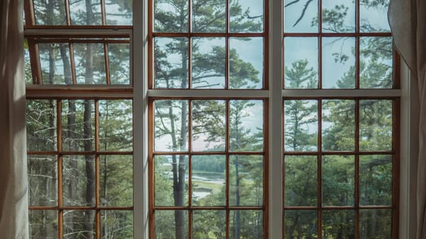 Many-paned windows looking out on a peaceful wooden scene