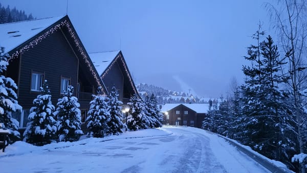 a-snow-covered-street-lined-with-houses-and-trees